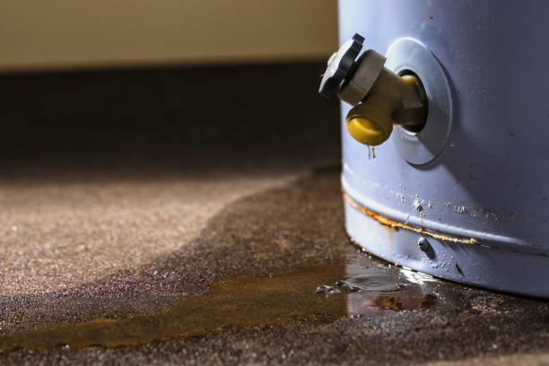 Best Water damage cleanup near me  in Mission Bend, TX