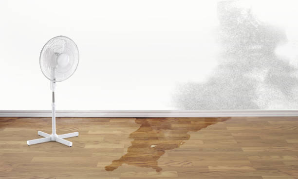 Best Basement water damage restoration  in Mission Bend, TX