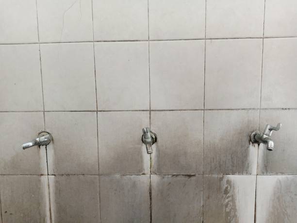 Best 24/7 water damage repair  in Mission Bend, TX
