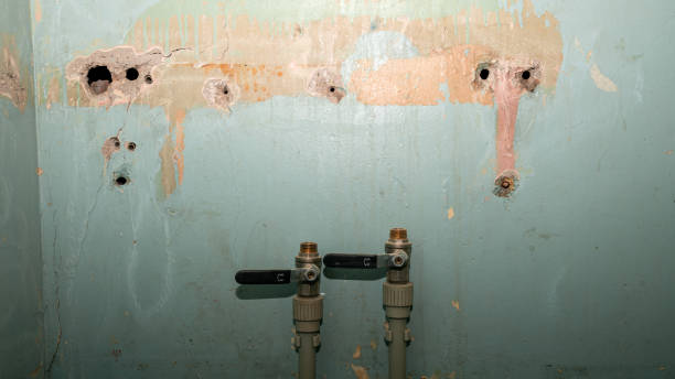 Best Water damage restoration mold remediation  in Mission Bend, TX